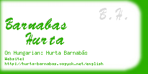 barnabas hurta business card